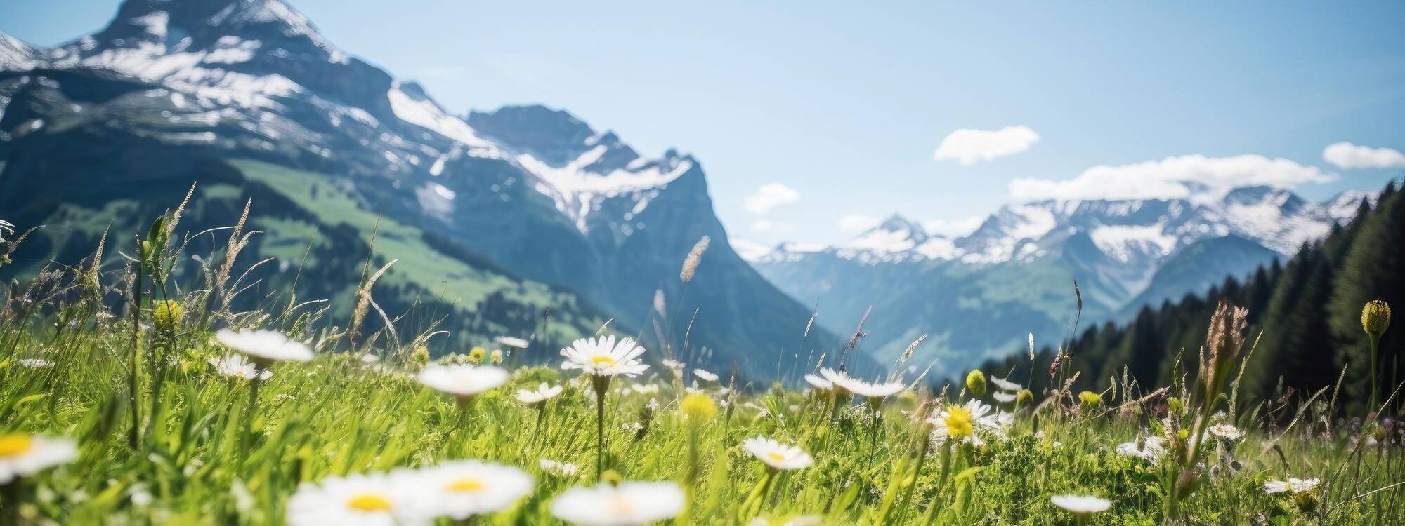 Sommerferien - Tirol