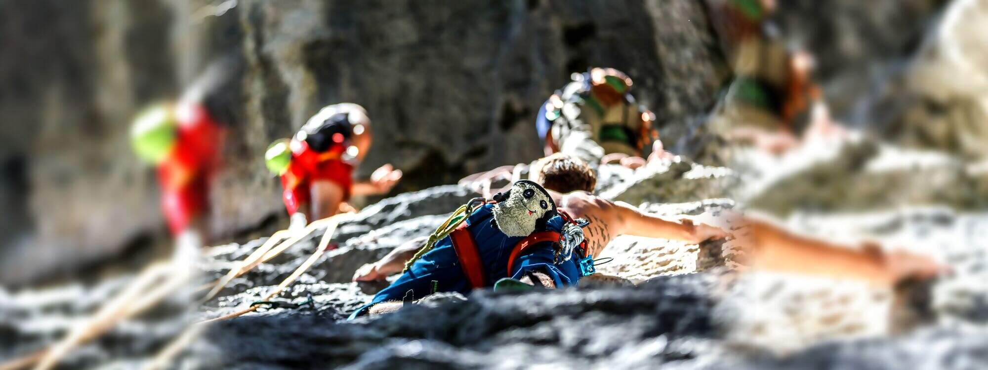 Klettersteig Gerlossteinwand